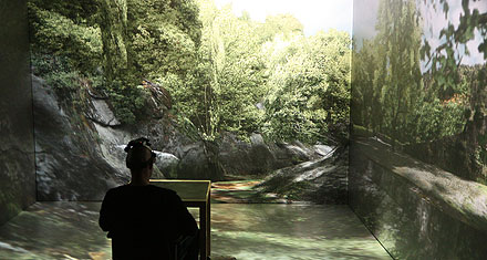 VirtuellSkogsmiljö440