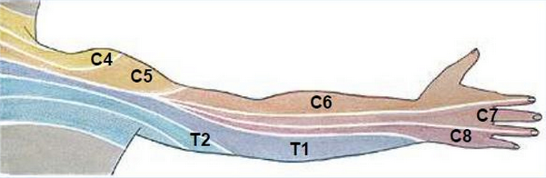 1455068_591753647547203_108574024_n