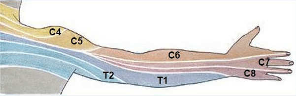 1455068_591753647547203_108574024_n