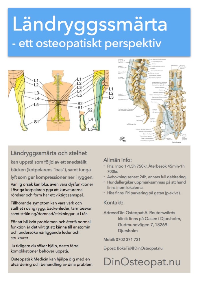 Ländryggssmärta jpeg