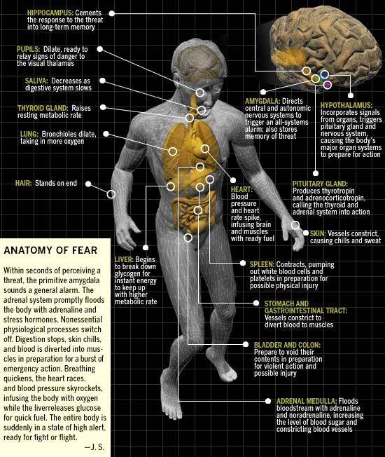 1966713_637541479634002_1563476034_n